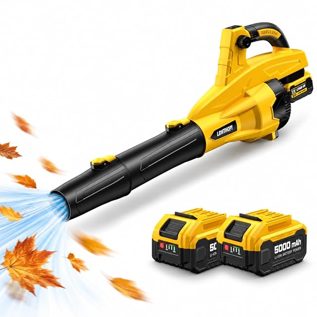 Souffleur de feuilles sans fil LDHTHOPI avec deux batteries de 5,0 Ah, chargeur et buse de rallonge